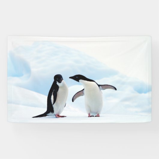 Adelie Pinguine Banner (Horizontal)