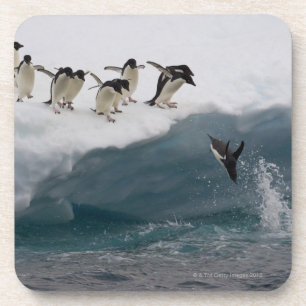 Adelie-Pinguine, die in Meer Paulette tauchen Getränkeuntersetzer