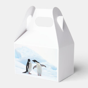 Adelie Pinguine Geschenkschachtel