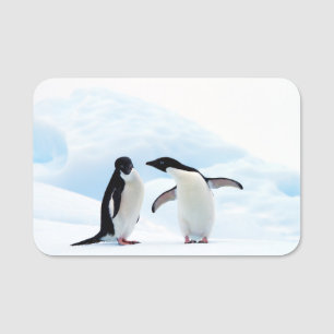 Adelie Pinguine Namensschild