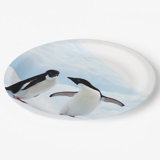 Adelie Pinguine Pappteller (Schrägansicht)