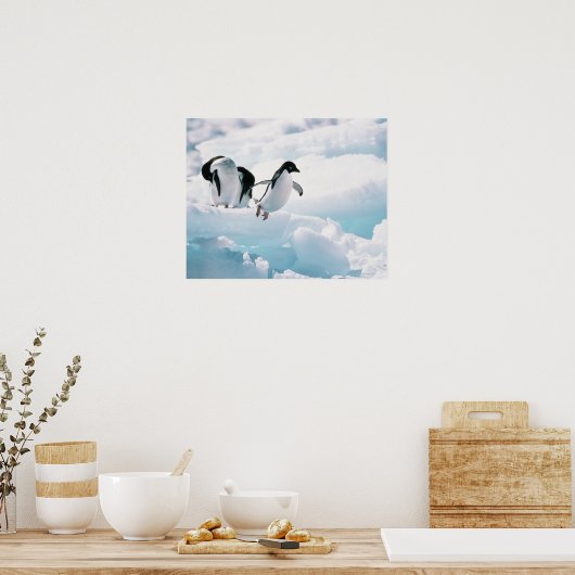 Adelie Pinguine (pygoscelis adeliae) Antarktis Poster (Küche)