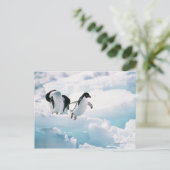 Adelie Pinguine (pygoscelis adeliae) Antarktis Postkarte (Stehend Vorderseite)