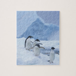 Adelie-Pinguine (Pygoscelis adeliae) auf Eis, Puzzle