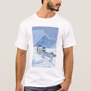 Adelie-Pinguine (Pygoscelis adeliae) auf Eis, T-Shirt