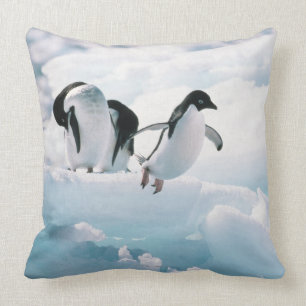 Adelie-Pinguine (Pygoscelis adeliae) die Antarktis Kissen