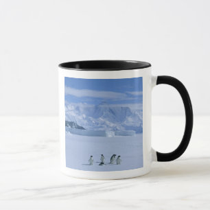 Adelie-Pinguine, Pygoscelis adeliae), Tasse