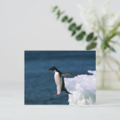 Adelie Pinguine springen von einem Eisberg Postkarte (Stehend Vorderseite)