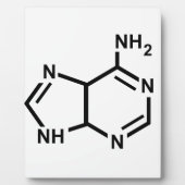 Adenin Fotoplatte (Vorderseite)