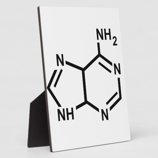 Adenin Fotoplatte (Seite)