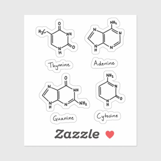 Adenin, Guanin, Zytosin, Thyminmoleküle Aufkleber (Blatt)