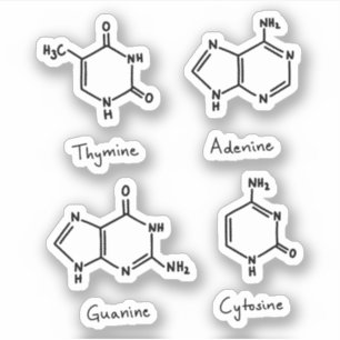 Adenin, Guanin, Zytosin, Thyminmoleküle Aufkleber