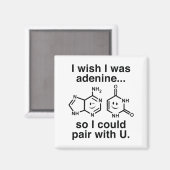 Adenin Magnet (Vorderseite/Rückseite)