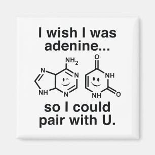 Adenin Magnet