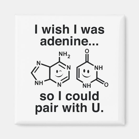 Adenin Magnet (Vorne)