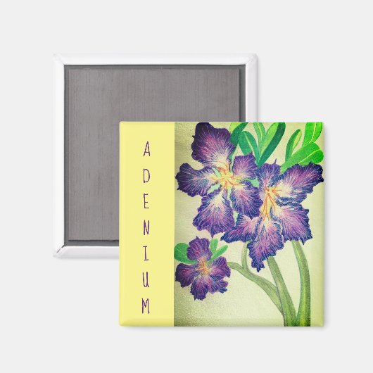 Adenium Magnet (Vorderseite/Rückseite)