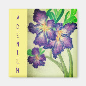 Adenium Magnet (Vorne)