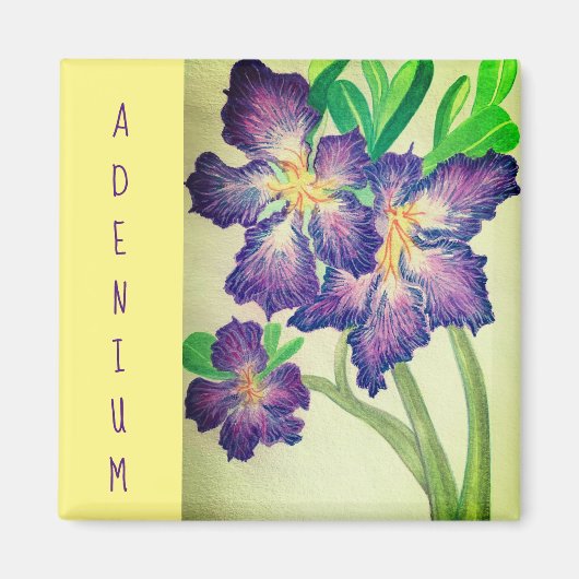 Adenium Magnet (Vorne)