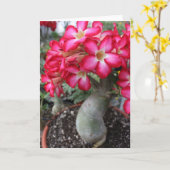 Adenium notecard karte (Gelbe Blume)