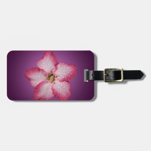 Adenium Pink Blume Flora Gradient Violett Gepäckanhänger (Vorderseite horizontal)