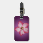 Adenium Pink Blume Flora Gradient Violett Gepäckanhänger (Vorderseite vertikal)