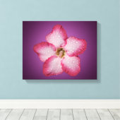Adenium Pink Blume Flora Gradient Violett Leinwanddruck (Insitu (Holzboden))