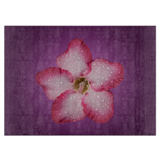 Adenium Pink Blume Flora Gradient Violett Schneidebrett (Vorderseite)