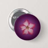 Adenium rosa Blüten Flora Gradient violett Button (Vorne & Hinten)