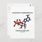Adenosintriphosphat (ATP) Energie für die Lebensda Postkarte (Vorne/Hinten)