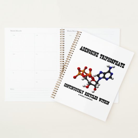 Adenosintriphosphat kontinuierlich Gerecycelt ATP Planer (Anzeige)