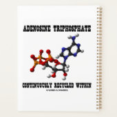 Adenosintriphosphat kontinuierlich Gerecycelt ATP Planer (Rückseite)