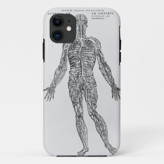 Ader- und Arteriensystem (b/w Druck) Case-Mate iPhone Hülle (Rückseite)