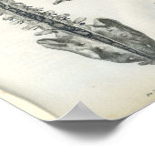 Adern der Wirbelsäule Druck Poster (Ecke)