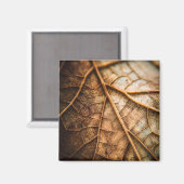 Adern des Herbstes Magnet (Vorderseite/Rückseite)