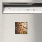 Adern des Herbstes Magnet (In Situ (Geschirrspüler))