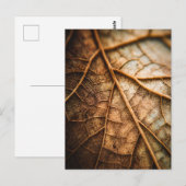 Adern des Herbstes Postkarte (Vorne/Hinten)