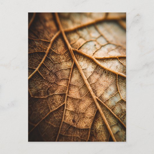 Adern des Herbstes Postkarte (Vorderseite)