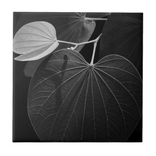 Adern eines Blattes Fliese