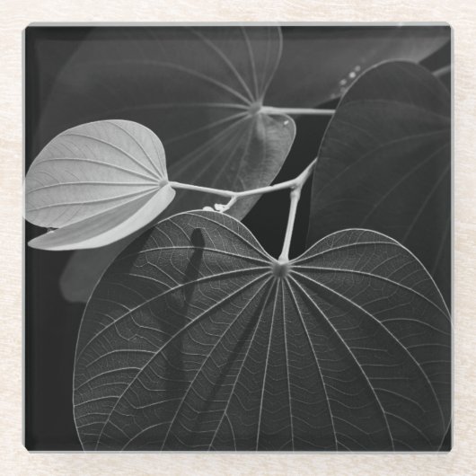 Adern eines Blattes Glasuntersetzer (Vorderseite)