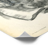 Adern von Bauchorganen Anatomie Druck Poster (Ecke)