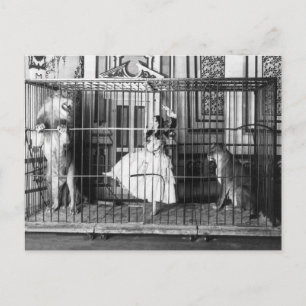 Adgie und ihre dressierten Zirkuslöwen Vintage Postkarte