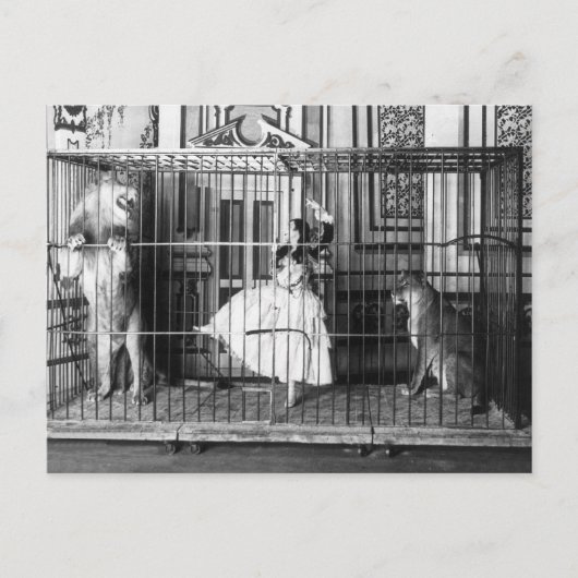 Adgie und ihre gebildeten Zirkusliken Vintag Postkarte (Vorderseite)