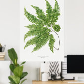Adiantum Curvatum von Ferns British und Exotic (1 Poster (Heimbüro)