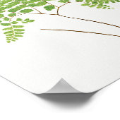 Adiantum Pedatum (Northern Maidenhair Fern) from Poster (Ecke)