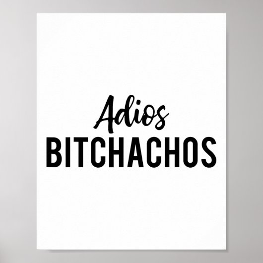 Adios Achos Funny Cinco De Mayo Party Fiesta Gesch Poster (Vorne)