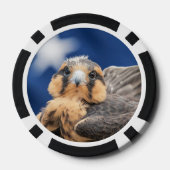 Adiplomado Falcon mit Flagge Pokerchips (Rückseite)