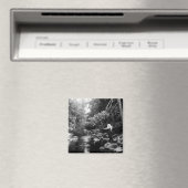 Adirondack-Angelfischen Magnet (In Situ (Geschirrspüler))