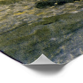 Adirondack Birches Poster (Ecke)