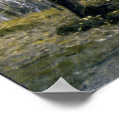 Adirondack Birches Poster (Ecke)