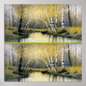 Adirondack Birches Poster (Vorne)
